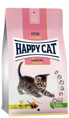 Happy Cat Kitten Fågel