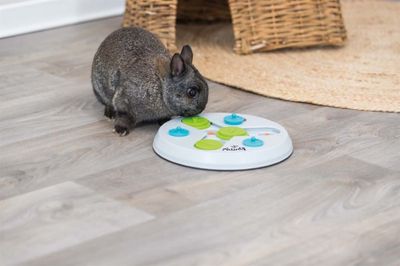 Aktivitetsspel Slide & Fun Board, plast, ø 23 cm