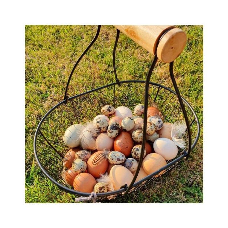 Stor Äggkorg Svart Quailzz