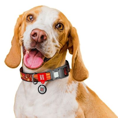 WAUDOG Hundhalsband Nylon Flash Speed