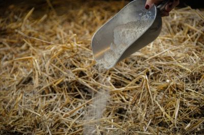 QhT4bXjCw4STwz21764327302