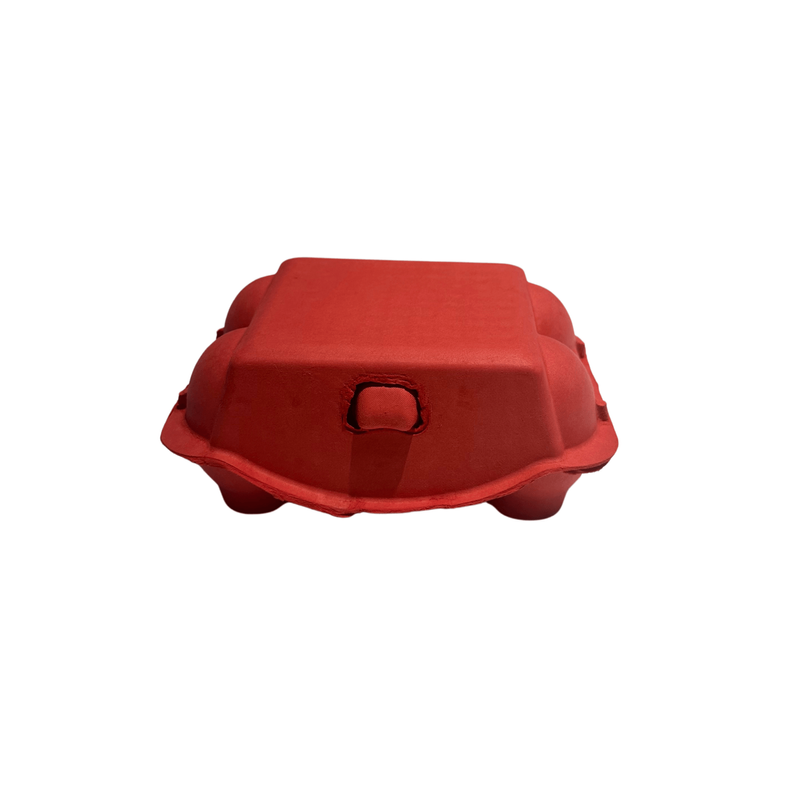 Äggkartong 6-ägg Färgad