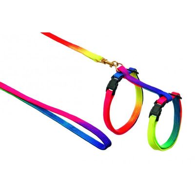 Kattsele/Koppel-Set Nylon Regnbåge