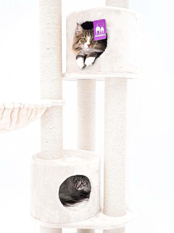 Klösträd Charlotte 180