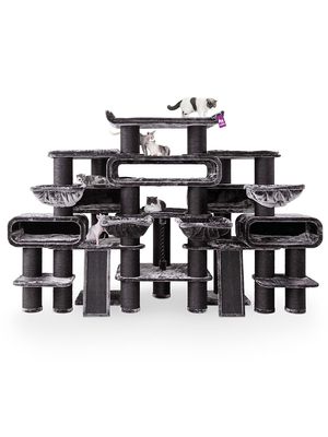 Klösträd Norwegian 200