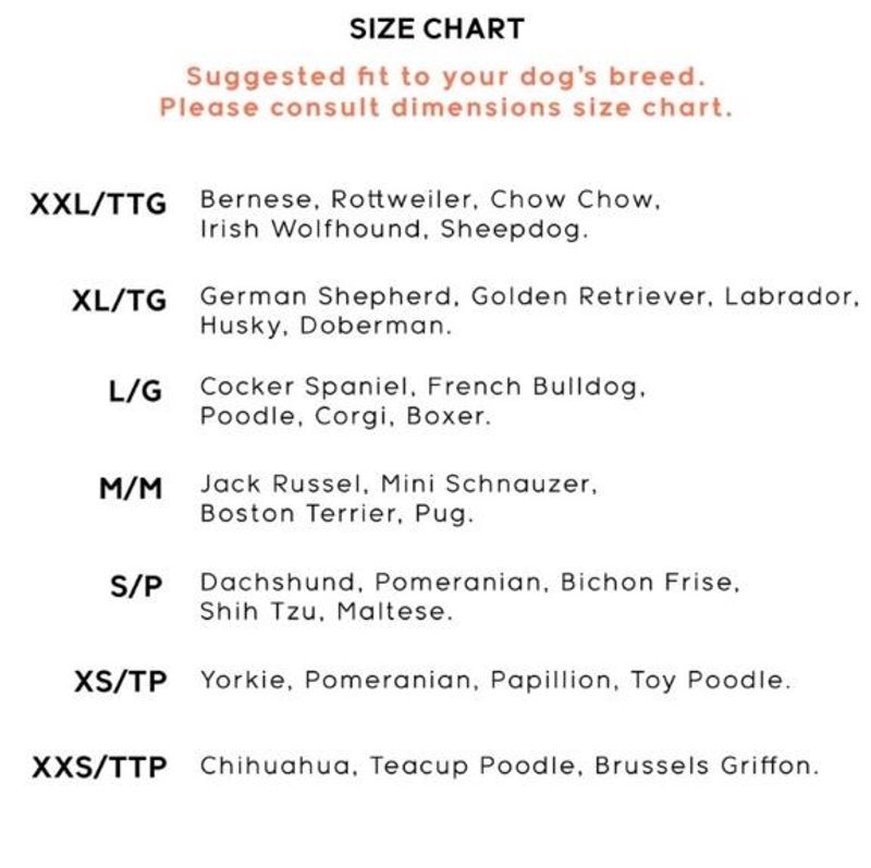 Goo-eez Hundskor 4-pack Svart