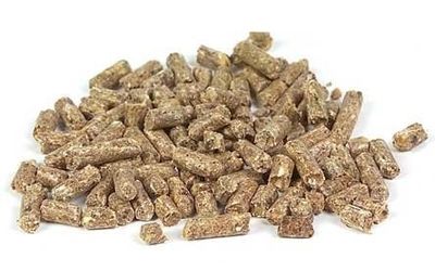 Edel Kanin & Marsvinspellets 2 kg