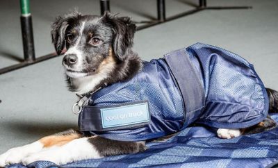 RV7e4FlKGiEcT2Z1764326575