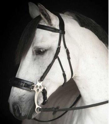 Lippo Chester Träns för hackamore