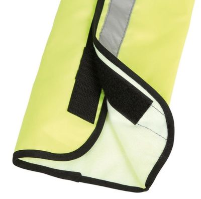 RZlFTG9OX0CTfbS1764327571