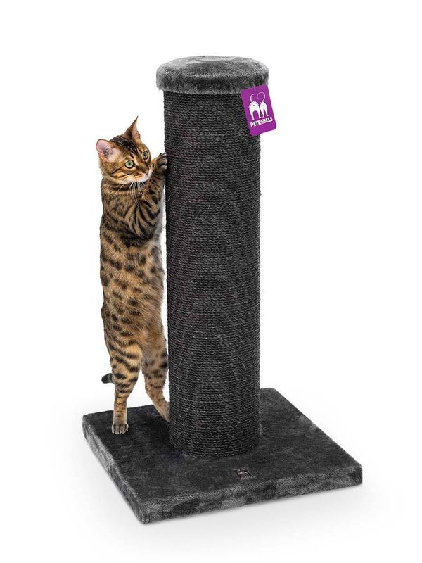 Klöspelare Savannah 86