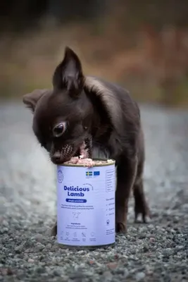 Rh1QZjs4N8612EL1764327660