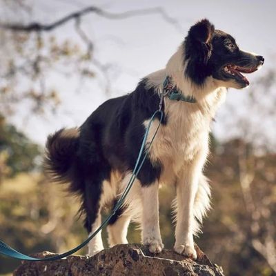 RqOR9eBFk9l90Os1764327411