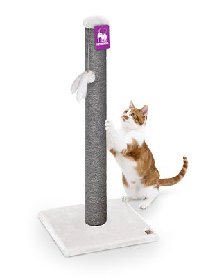 WH6bdF0ImsVZUjD1767018953