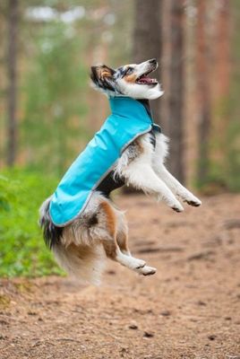 WIemZxH5suyefWi1764327541