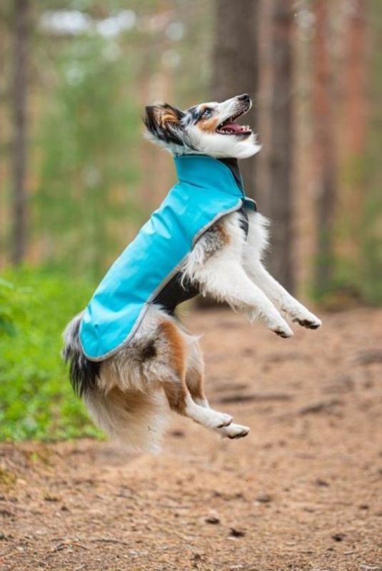 Pomppa Sportti Softshell-täcke Arctic