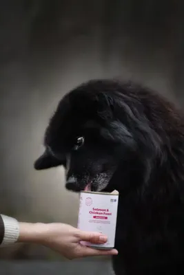 WlskrxPQ4gBdTDa1764327662