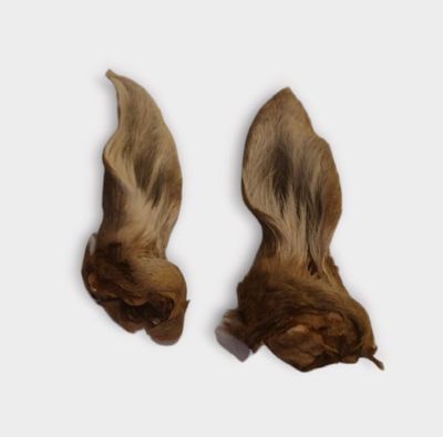 Alggutten Hjortöron 5-pack