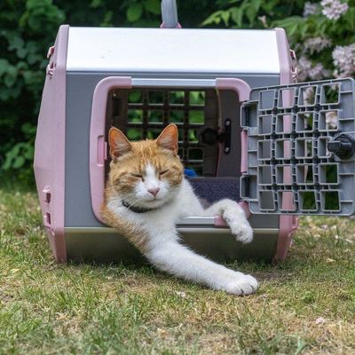 Mim Hundbur Care2 Large Rosa