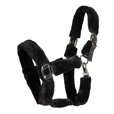 BoT Audrey Grimma m. ludd