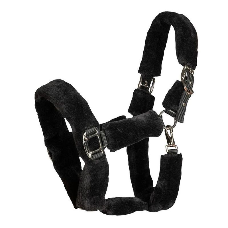 BoT Audrey Grimma m. ludd