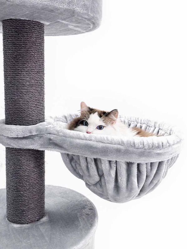 Klösträd Isabella 170