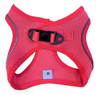 U85rF9ZHdF4P2D51764326909