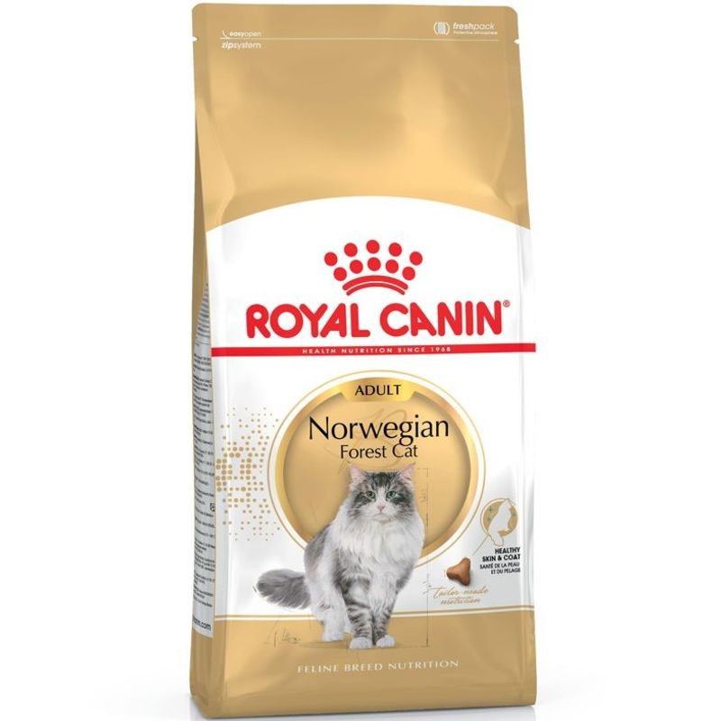 RC Norwegian Forest Cat Adult