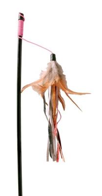 Unc4LhSglvGn5NS1764326395