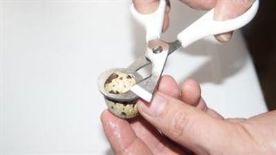 UoVaPN9wDU06B261764325049