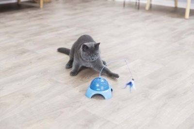 Kattleksak Catch me inkl. fjärrkontroll