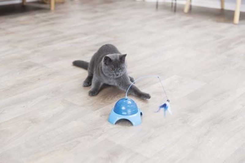 Kattleksak Catch me inkl. fjärrkontroll