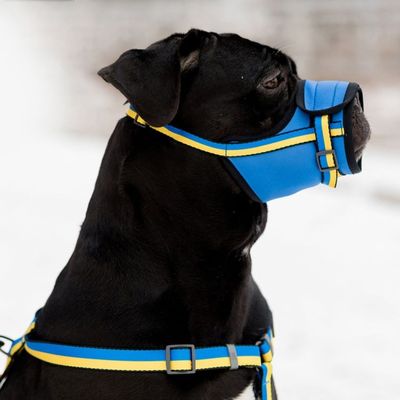 UdditdeEMOOCuL81764327589