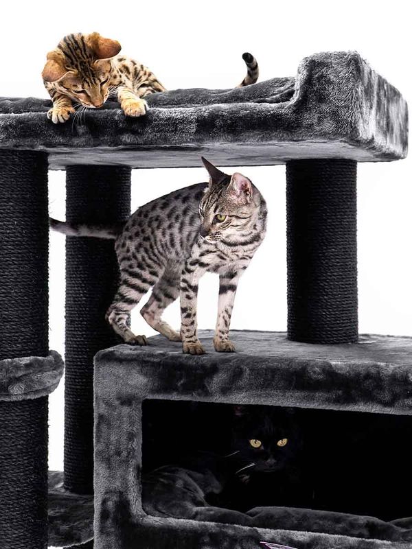 Klösträd Estate 170