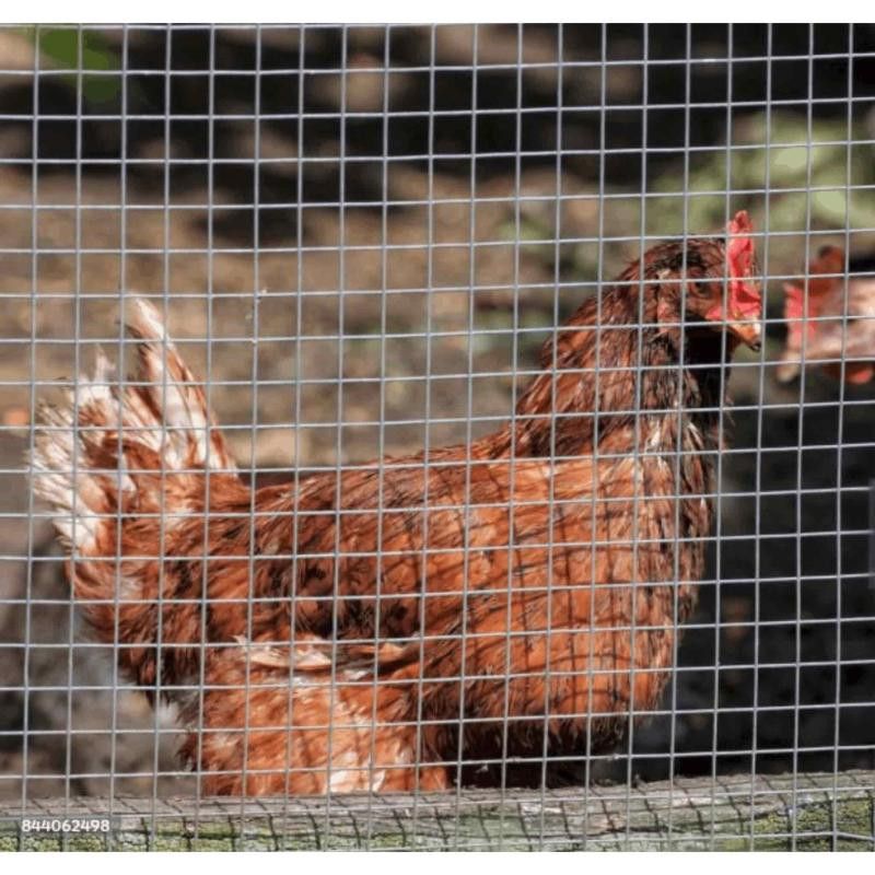 Svetsat Putsnät Fyrkantsnät 25m