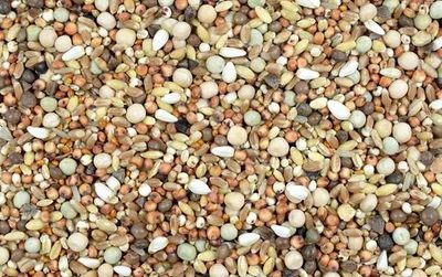 Oxéna Duvfoder Rasduva 14kg