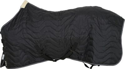 HG Leon Stalltäcke 100gr