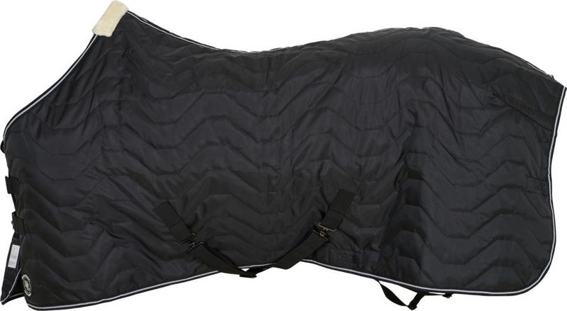 HG Leon Stalltäcke 100gr