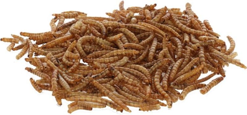 Mjölmask i hink 900g