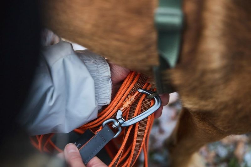 Non-Stop Friction long line, unisex, orange, 15.0m, single