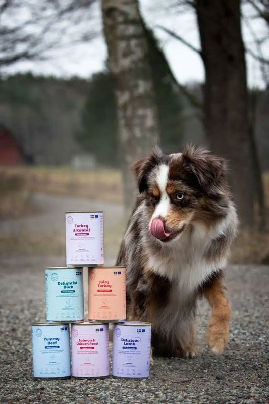 Buddy Delightful Duck 400g