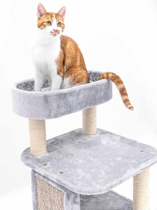 Klösträd Little Rock 99