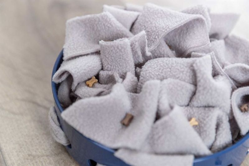 Dog Activity Hide'n'Sniff skål, Nivå 1, plast, ø18 cm