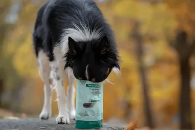 XQ7RxRcdazesrrz1764327671