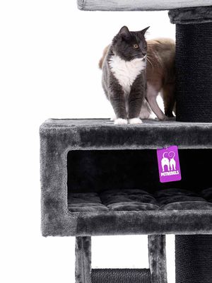 Klösträd Ragdoll 179