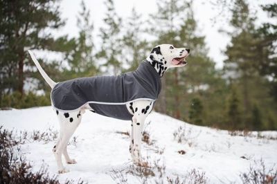 XsKmxdiifHLfpVE1764327542