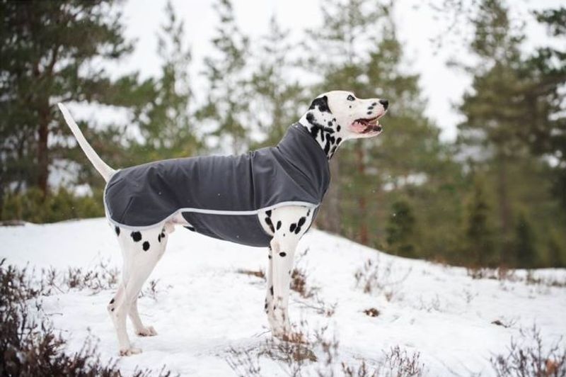 Pomppa Sportti Softshell-täcke Graphite