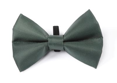 Digby & Fox Hundfluga