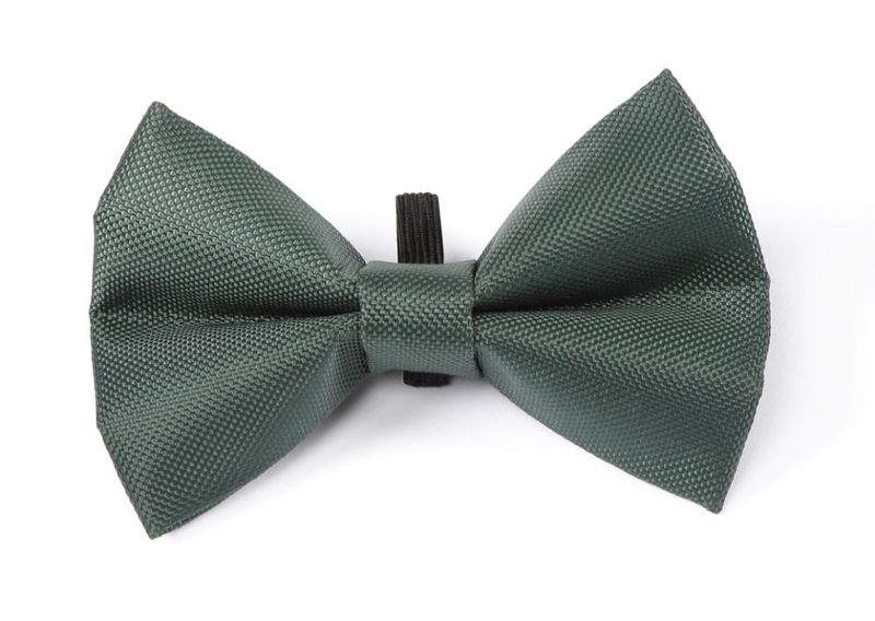 Digby & Fox Hundfluga