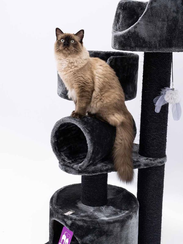 Klösträd Victoria 125